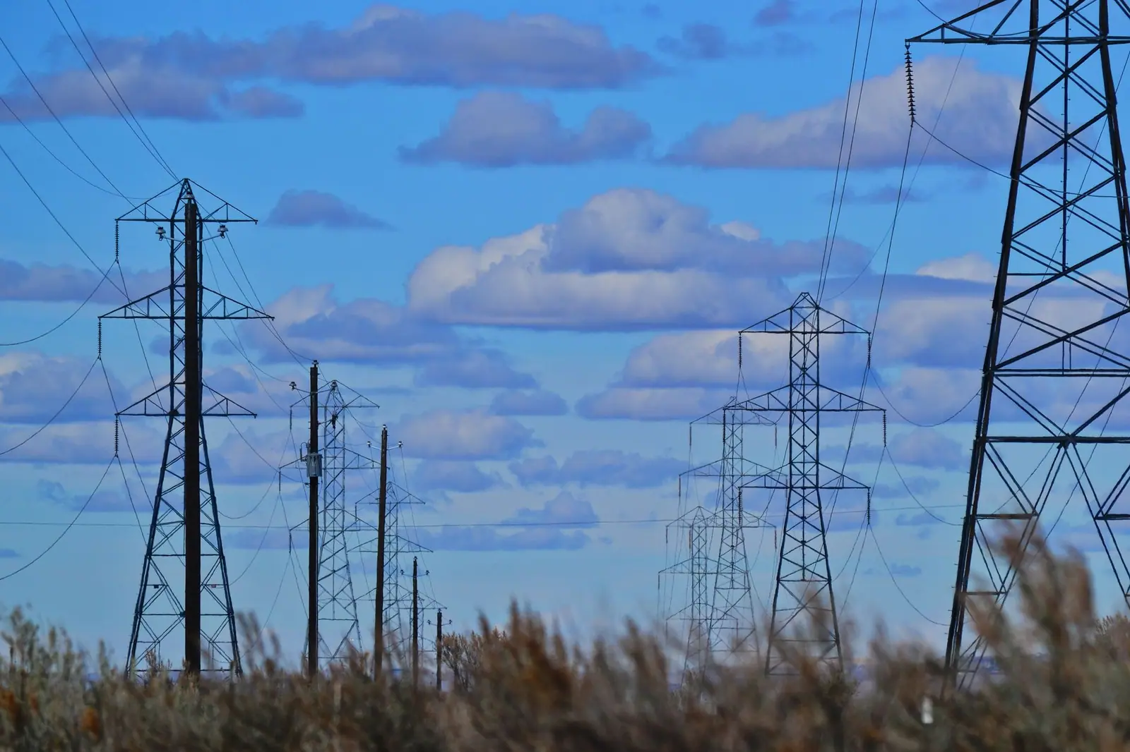 Şirketler için borsada elektrik fiyatı: 1 Ekim teslimatında MWh başına 134,86 avro