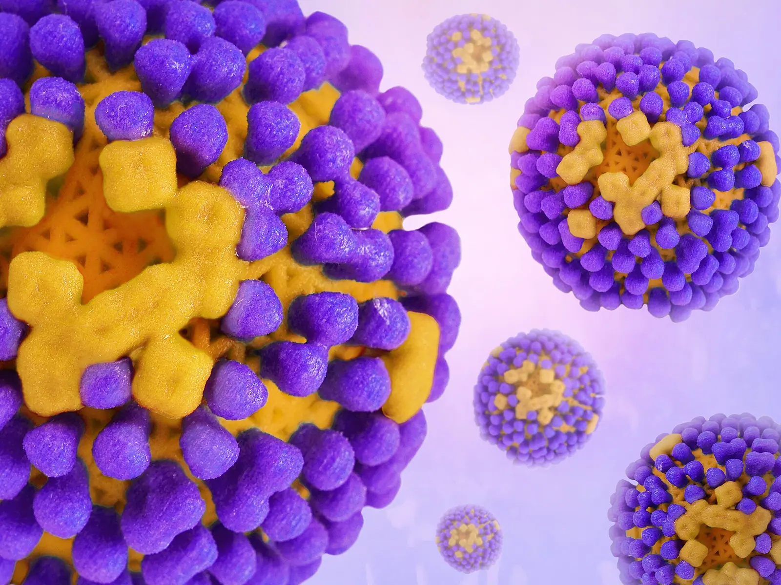 В България е доказан първият грипен вирус за новия сезон - A(H3N2)