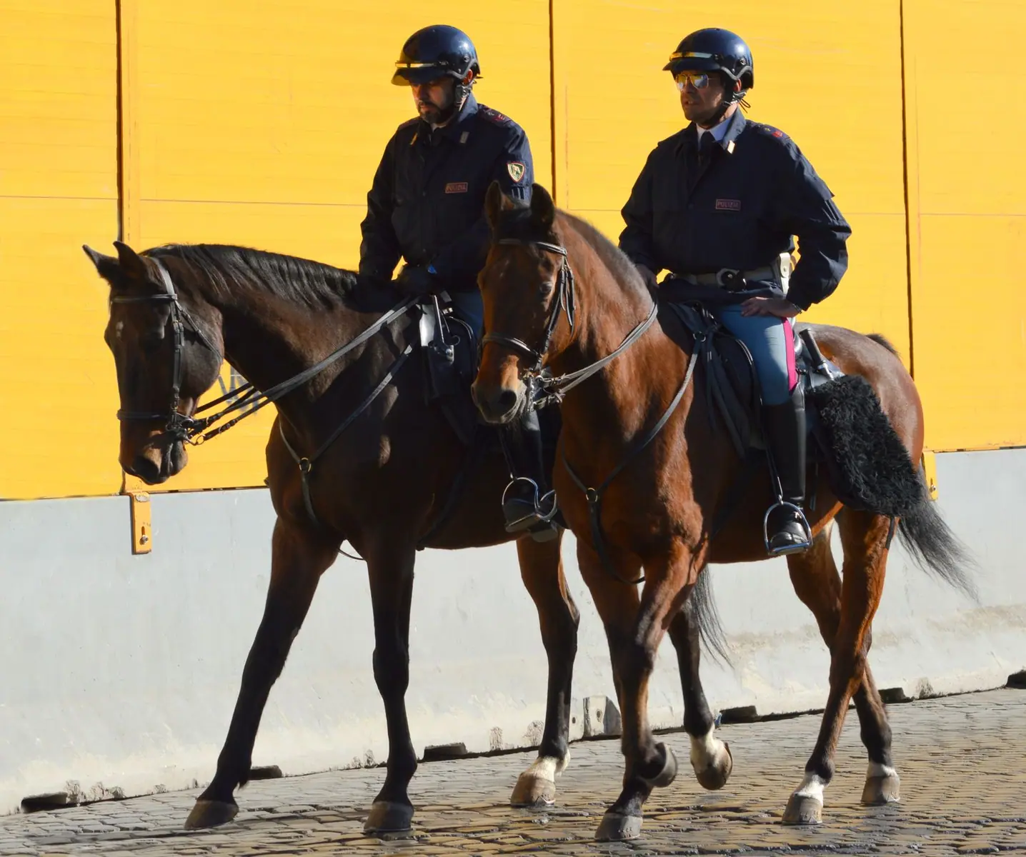 Haskovo police detain 7 men for theft, seize over 1,000 packs of cigarettes in Harmanli