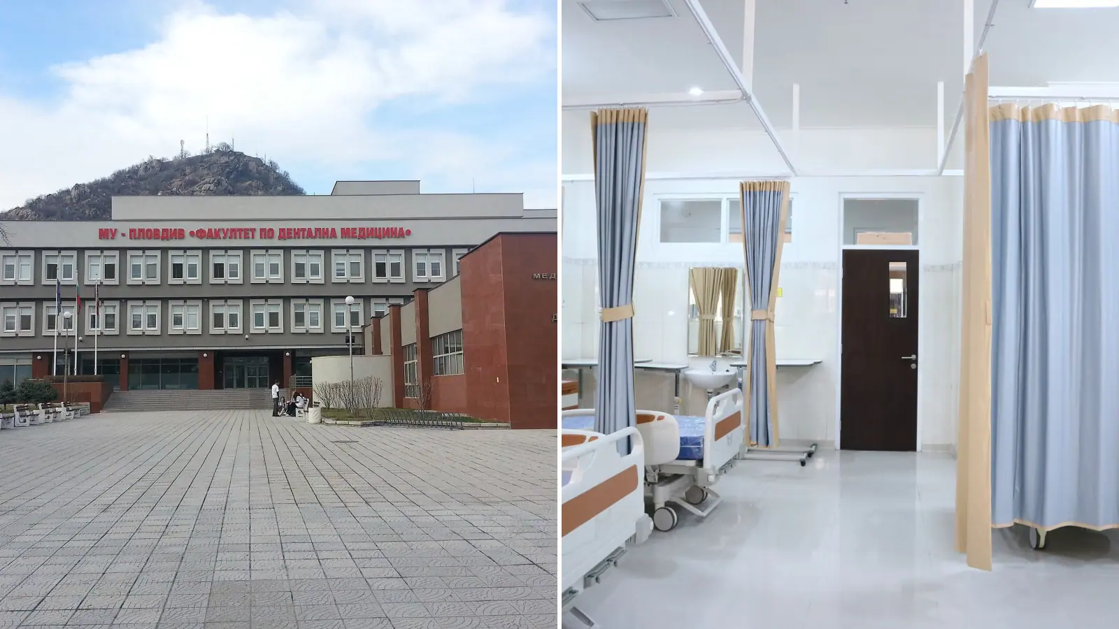 Prof. Geneva-Popova, NZOK soruşturmasında suçunu itiraf etti