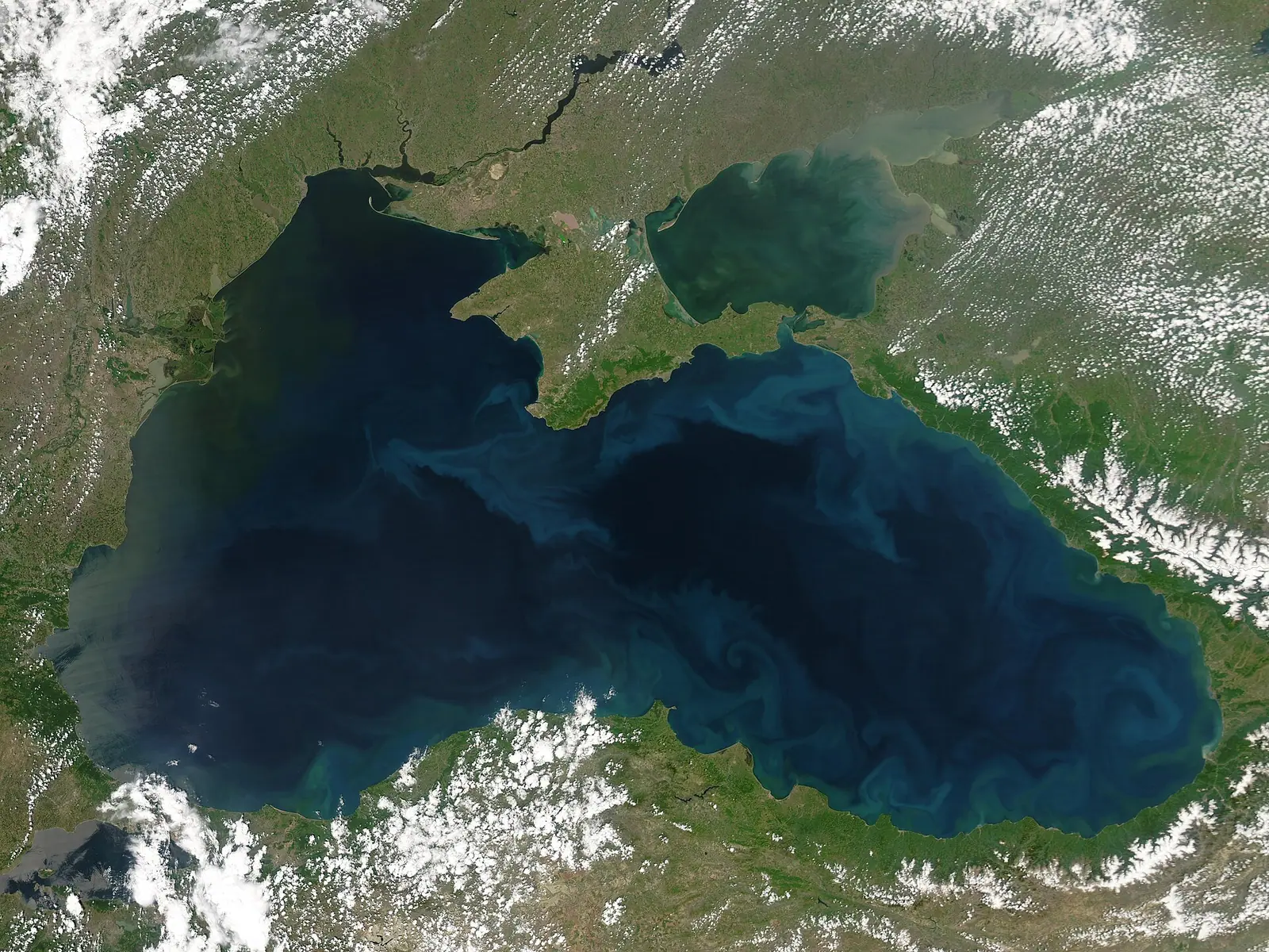 Stoyanov: more than 600 incidents involving ships in the Black Sea since the war began