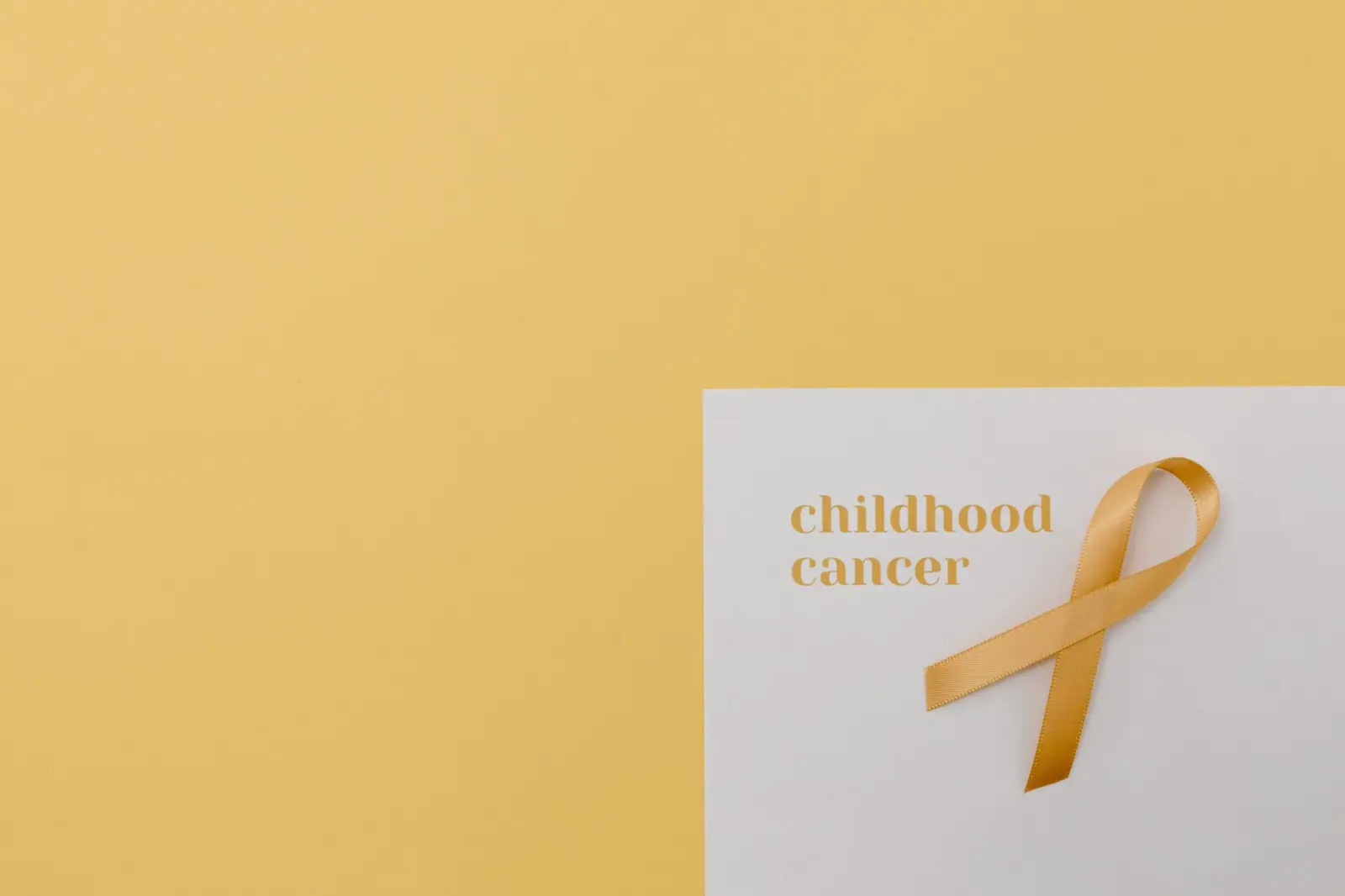Complex child cancer cases from Bulgaria to be treated in the Netherlands