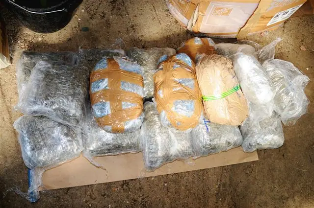Съдът в Хасково остави в ареста сириец, обвинен в опит да пренесе над 43 кг кокаин
